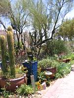Hacienda13.jpg